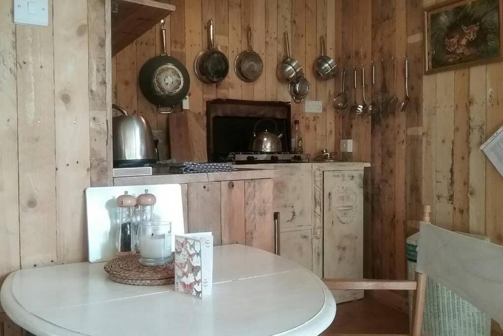 Foxesden, Unique Eco Cabin, Dartmoor Views South Brent Экстерьер фото