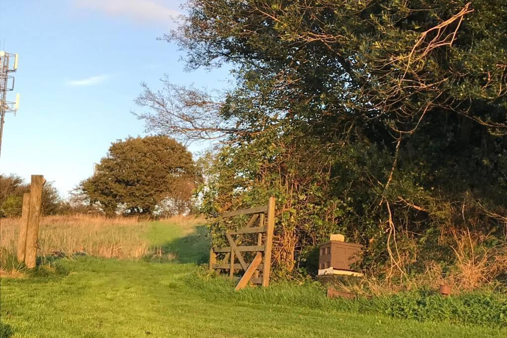 Foxesden, Unique Eco Cabin, Dartmoor Views South Brent Экстерьер фото