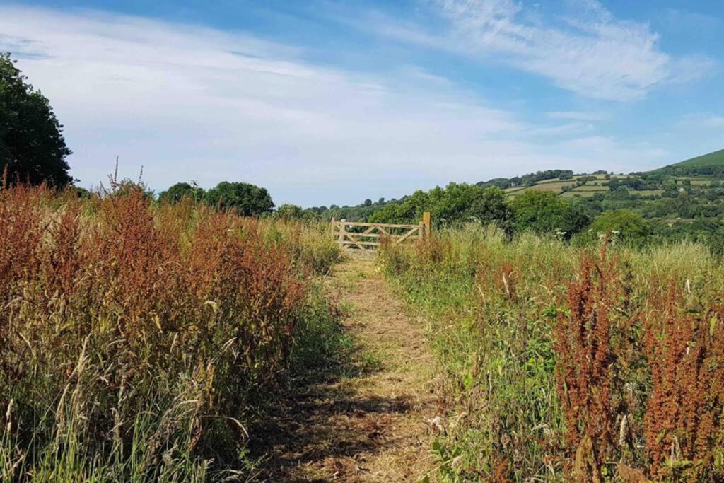 Foxesden, Unique Eco Cabin, Dartmoor Views South Brent Экстерьер фото