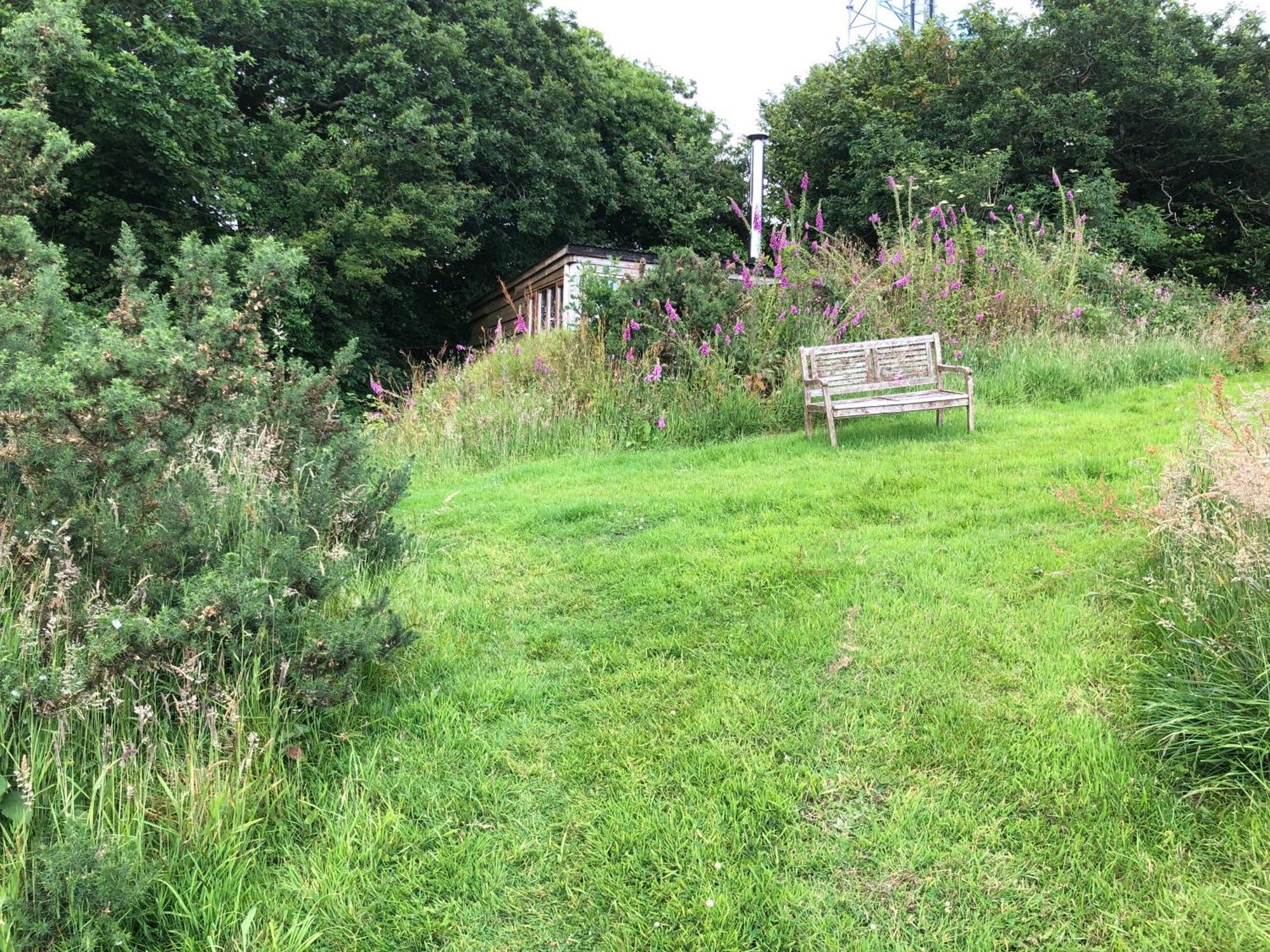 Foxesden, Unique Eco Cabin, Dartmoor Views South Brent Экстерьер фото